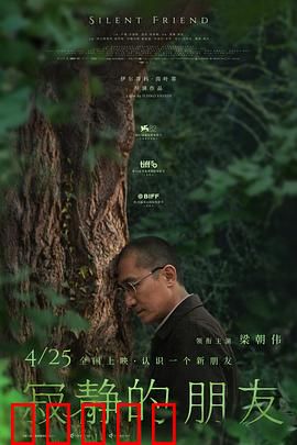 寂静的朋友：森林中的神秘邂逅